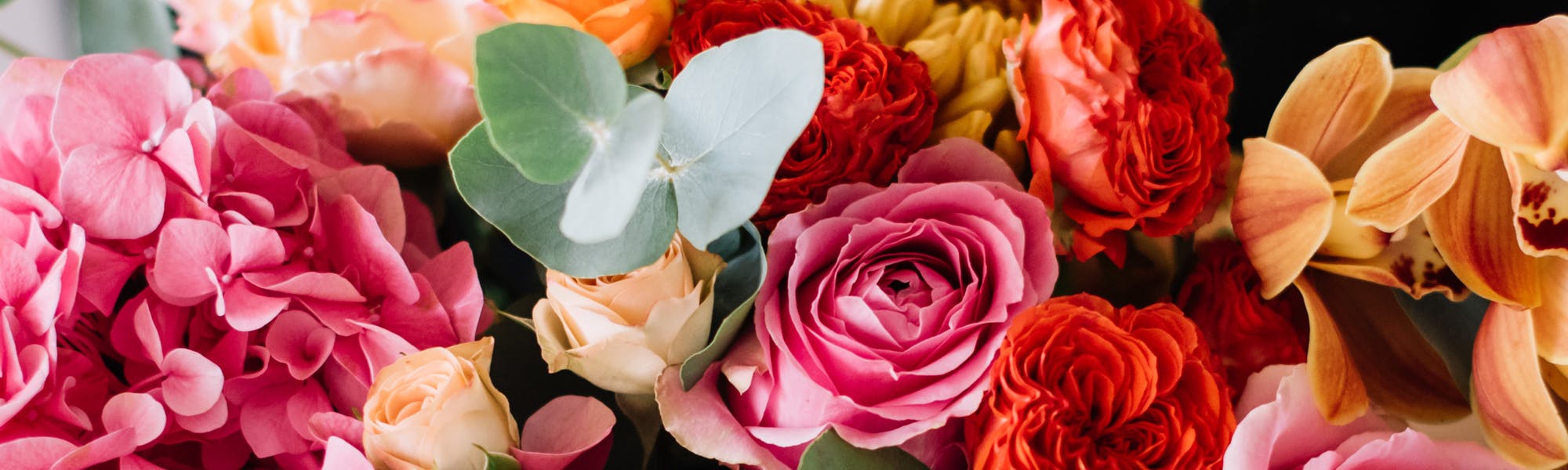 SameDay Charlotte Flower Delivery The Blossom Shop Florist NC