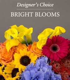 Blossom Shop Designer's Choice - Bright Blooms