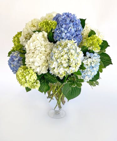 Charlotte NC Best Selling Flowers - Same Day Delivery | The Blossom Shop