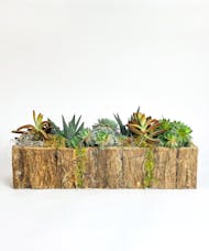 Succulent Garden Centerpiece in Wooden Container