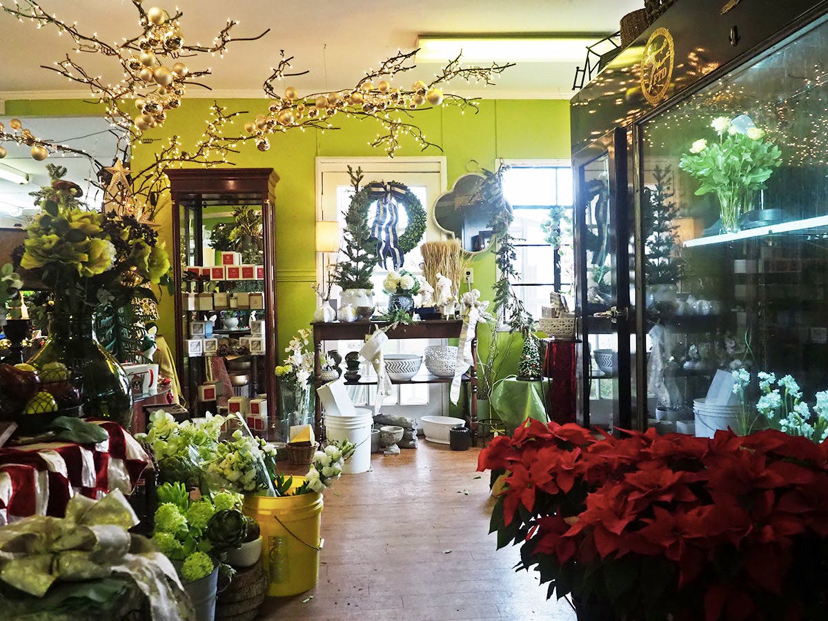 About Us The Blossom Shop Charlotte, NC