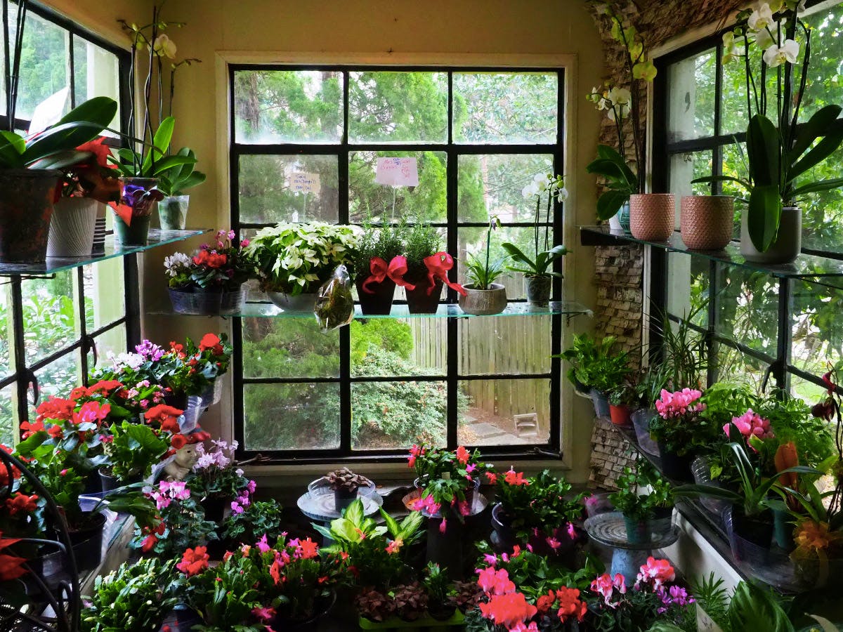 About Us The Blossom Shop Charlotte, NC